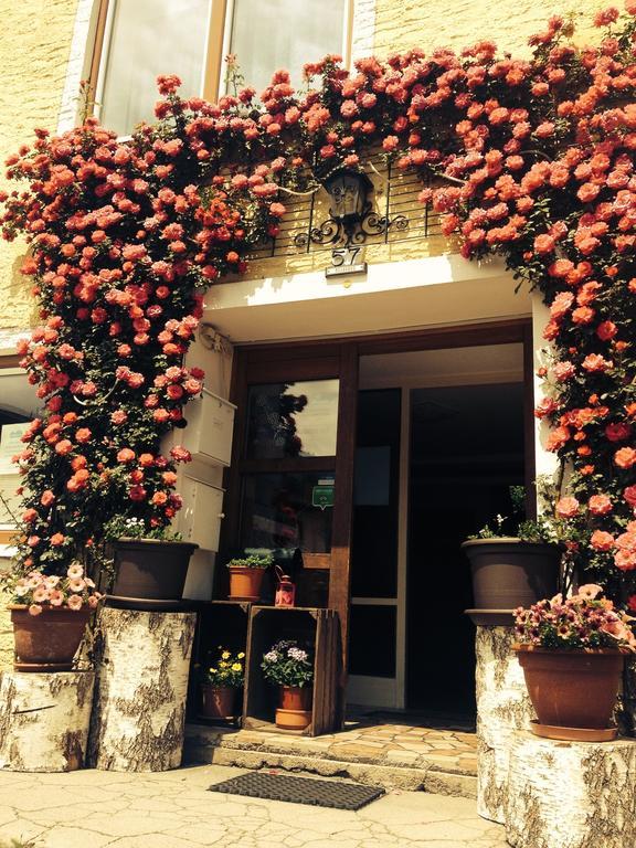 Pension Horfarter Fieberbrunn Esterno foto