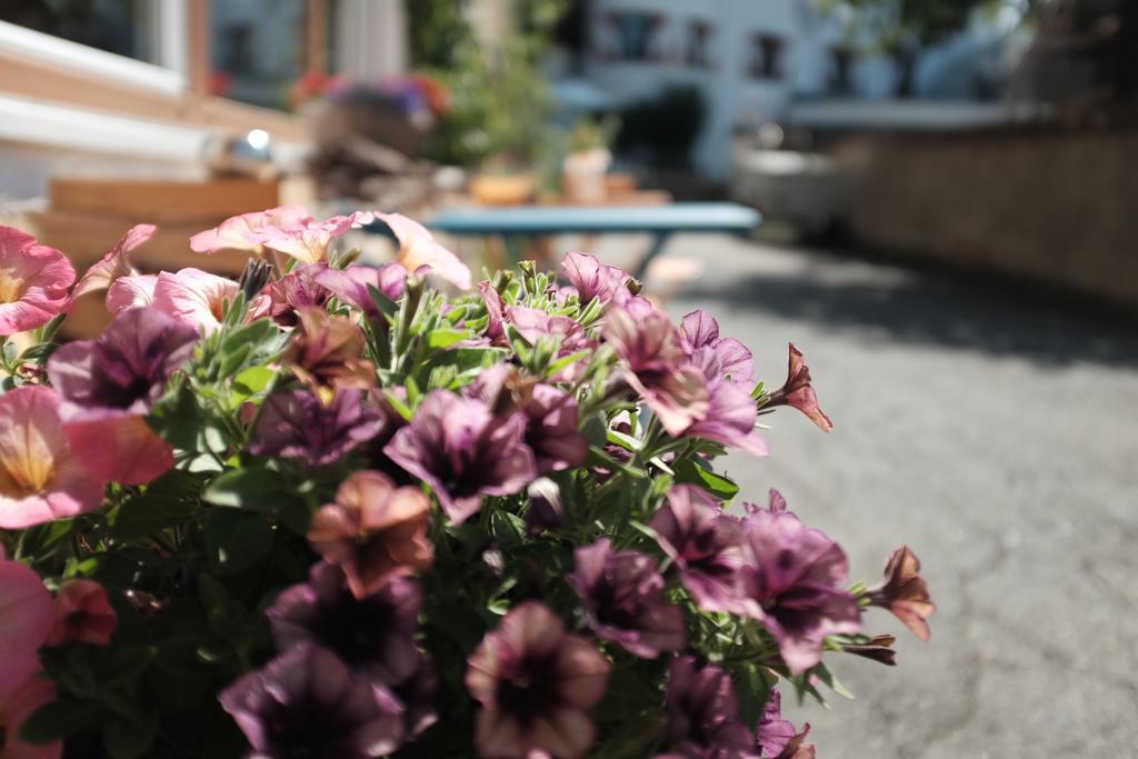 Pension Horfarter Fieberbrunn Esterno foto